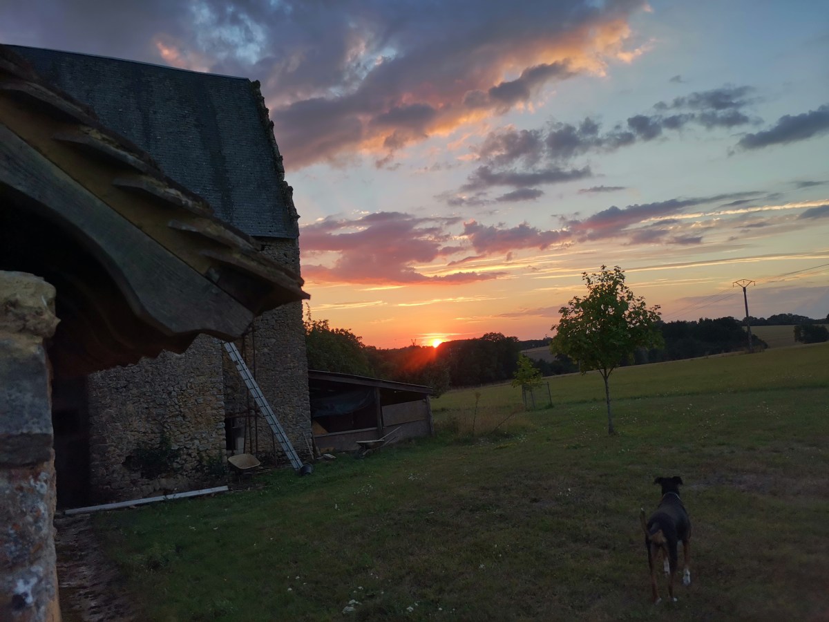 Extérieur de l&rsquo;aile Est du bâtiment principal – liste des chantiers sur la façade&nbsp;Nord.